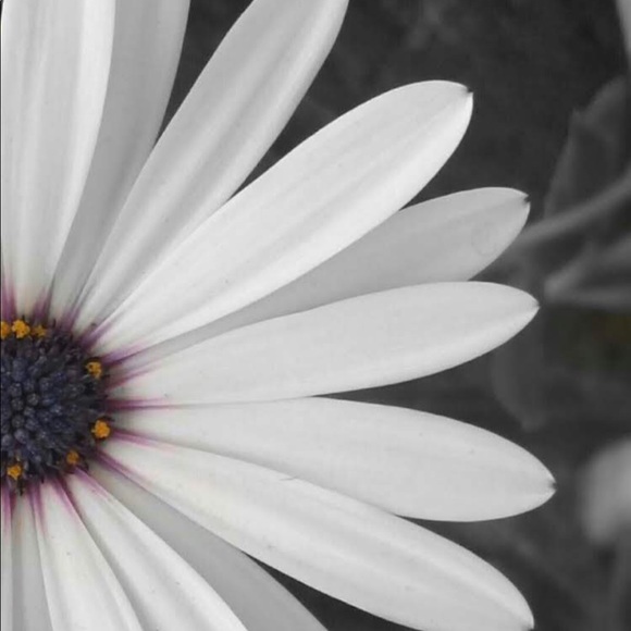 flower_girl_13